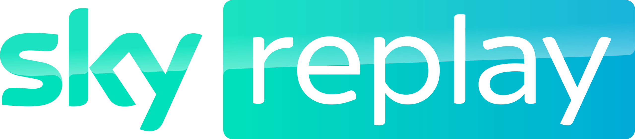 Sky Replay